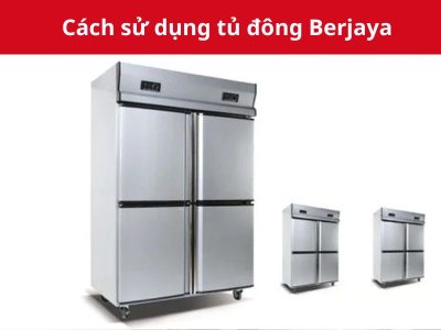 cach su dung tu dong berjaya